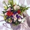 Ramo Purple
